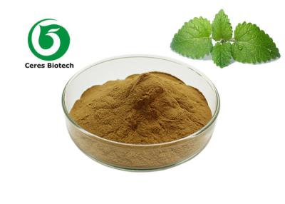 Cina Lemon Balm Herbal Extract Powder Melissa Officinalis Extract in vendita