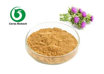 China Natural Seed Milk Thistle Herbal Supplement Extract Powder Silymarin Uv 70% for sale