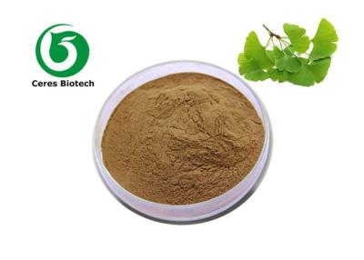 China Health Product Organic Ginkgo Biloba Extract 24 6 Flavone Lactones Anti - Wrinkle for sale