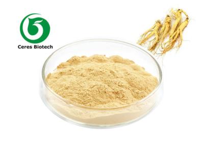 China Food Grade Ginseng Extract Powder Ginsenoside 40% For Neurosism Improvement for sale