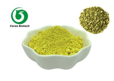 China Sophora Japonica Extract Quercetin Powder Pharmaceutical Grade GMP Certificate for sale