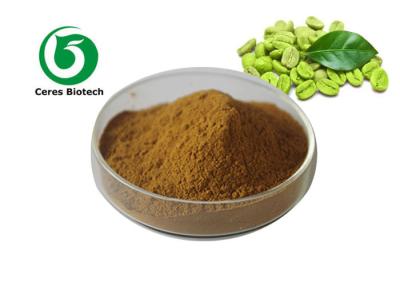 China Green Coffee Bean Extract Chlorogenic 50% Cosmetics Food Field 10%-60% for sale