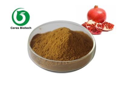 China Brown Powder Pomegranate Peel Extract 40% Ellagic Acid Food Pharmaceutical Grade for sale