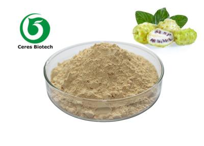 China Pale Yellow Noni Juice Powder Beverages Food Polysaccharide 9-20% Anti - Bacterial for sale