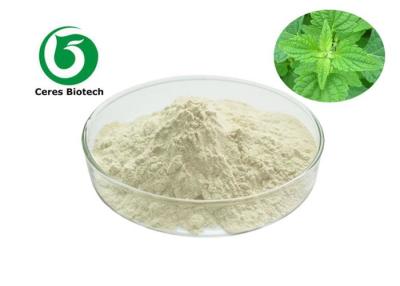 China 98% Oridonin Leaf Part Rabdosia Rubescens Extract for sale