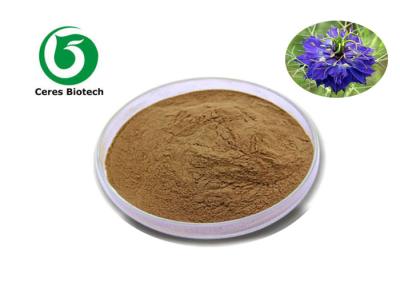 China 100% Natural Herbal 10/1 Nigella Sativa Extract Powder for sale