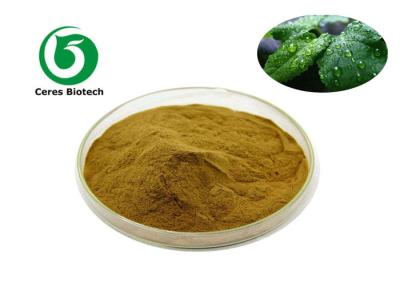 China Mint Flavor Powder 80 Mesh Peppermint Extract Powder for sale