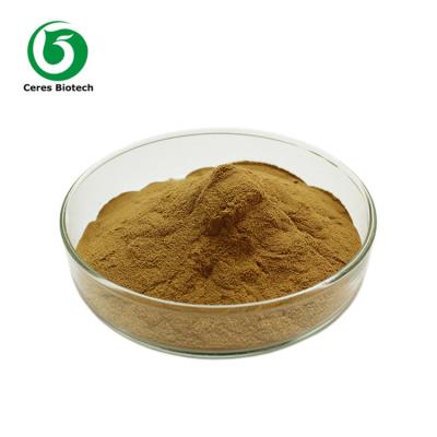 China 5/1 10/1 Herbal Extract Powder Houttuynia Cordata Extract Powder for sale