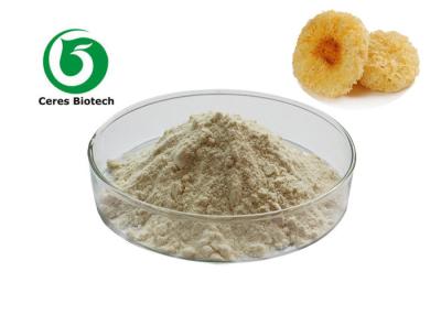 China 10% 50% Natural Tremella Fuciformis Mushroom Extract Powder for sale