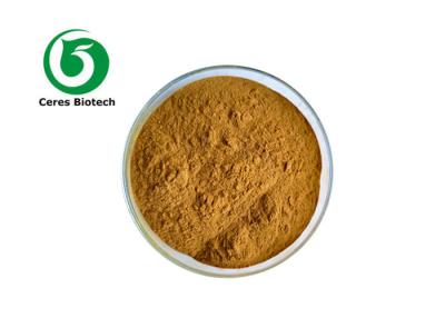 China Natural Dhm Dihydromyricetin 98% Hovenia Dulcis Extract for sale