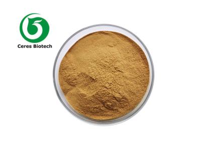 China 80% Natural Butchers Broom Ruscus Aculeatus Root Extract Powder In Skin Care for sale