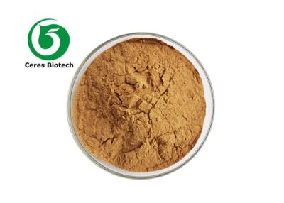 China Pure Natural Ajuga Turkestanica Turkesterone Extract Powder for sale