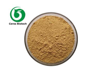 Cina Factory Supply High Quality 10:1 Glycyrrhiza Glabra Root Extract  7% Glycyrrhizic Acid in vendita