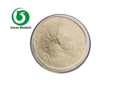 China Health Care Enzyme Powder Lumbokinase Lumbrukinase for sale