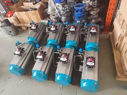 China Double Acting Pneumatic Valve Actuator Spring Return for sale