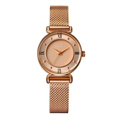 China IP Rose Gold Waterproof 28mm Alloy Quartz Watch Ladies Mesh Band for sale