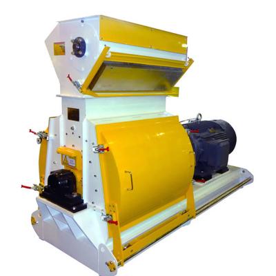 China Cameroon 50t/24h Complete Maize Flour Mill Grits Machine Corn Milling Line in Turkey for sale