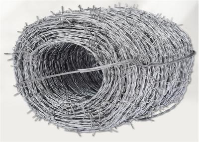 China 14 Gauge Hot Dipped Galvanized Barbed Wire For Building Farm Fence for sale