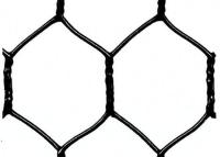 Quality 25mm Green Black Vinyl Coated Chicken Wire Fencing 1in 20 Gauge Poultry Netting for sale