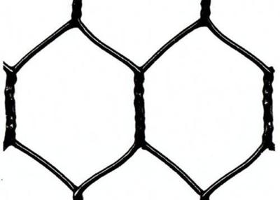 China 25mm Green Black Vinyl Coated Chicken Wire Fencing 1in 20 Gauge Poultry Netting for sale