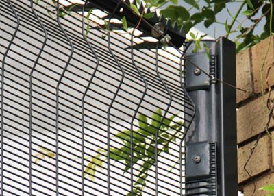 中国 RAL9005緑の保証反上昇の網の塀は鋼鉄曲げられたタイプに電流を通した 販売のため