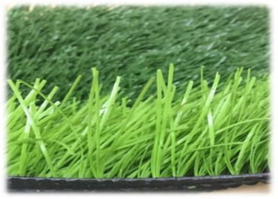 China 6600d Green Artificial Grass Yarn Flat Pe Monofilament Yarn for sale