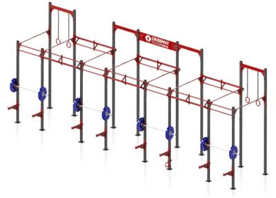 China Free Standing Outdoor Fitness Rigs Pro Cross Training Rigs Wall Mounted Squat Rig for sale