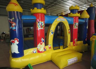 China Da casa inflável do leão-de-chácara de Disney do castelo casa inflável colorida de salto inflável do castelo na venda à venda