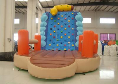China Inflatable Climbing Wall And Slide 5 X 3.8 X 4.5m , Big Blow Up Rock Climbing Wall for sale