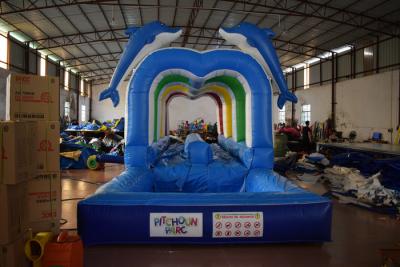 China Durable Commercial Inflatable Water Slides , Cute Dolphins Cartoon Long Water Slip N Slide for sale