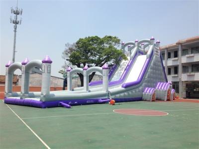 China Big 12 People Tarpaulin 0.55mm Commercial Inflatable Water Slides for sale