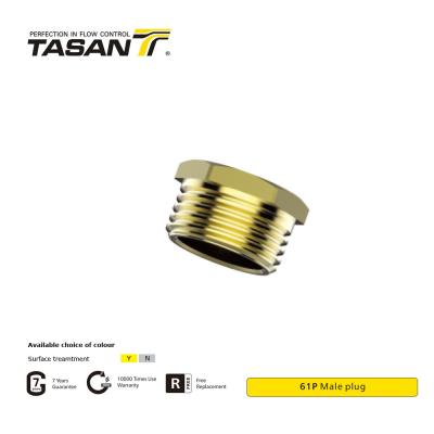 China DIN EN 10226-1 Thread Brass Pipe Fittings Brass Male Plug 61P  Rustproof for sale
