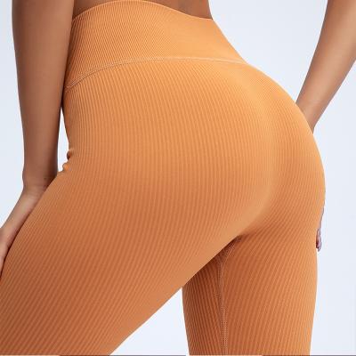China Solid Color Antibacterial Fitness Women High Waist Gym Ribbed Seamless Yoga Leggings for sale