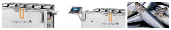 12 Head Frozen Food Packing Machine in operation