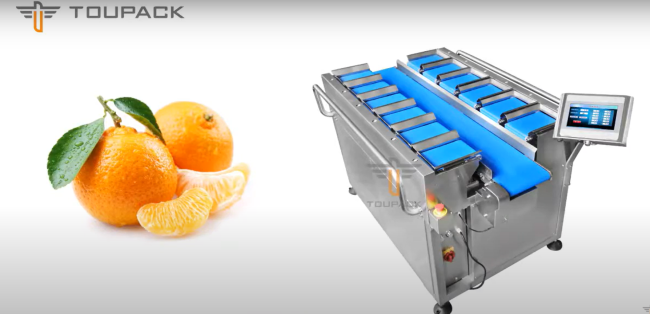 Custom conveyor belt weighing scale installation example