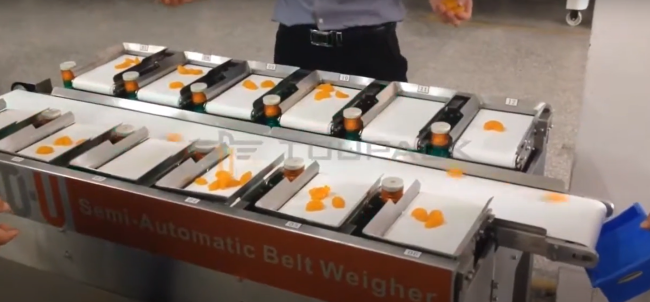 Close-up view of 12 head conveyor belt weighing scale