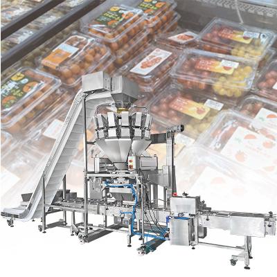 China Industrial Small Fruit Packaging Machinery Automatic Bottle Sensoning Pellet Filling Machine zu verkaufen