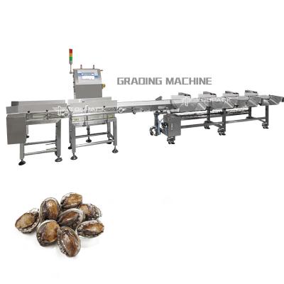 中国 Industry Automatic Weight Sorting Machine Conveyor Belt Chicken Shrimp Fruits Vegetables Weight Sorter 販売のため