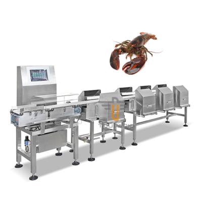 China High Accuracy Australian Lobster Weight Sorting Machine 2 Level 6 Level Grading Machine for sale