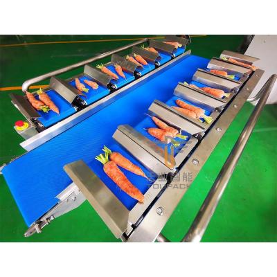 China 30WPM Stainless Steel 304 Conveyor Belt Weighing System 12 Belt for sale