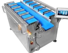 China TOUPACK Linear Weigher Packing Machine for sale