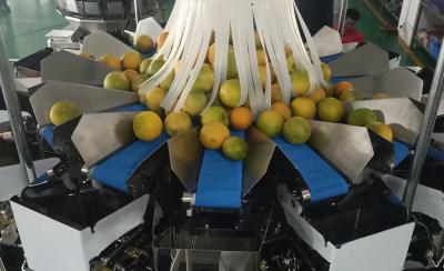 China 14 la empaquetadora principal del pesador de Multihead MCU/PLC para Weiging da fruto las naranjas en venta
