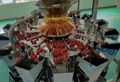 Κίνα Weigher SUS304 Multihead αυτόματο σύστημα ζυγίσματος και συσκευασίας για παγωμένα τα κεράσι φρούτα στα κιβώτια προς πώληση