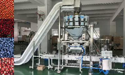 中国 SUS304 Multiheadの計重機の箱のチェリーの凍結するフルーツのための自動重量を量り、包装システム 販売のため