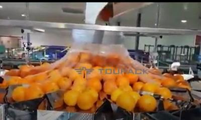 China Empaquetadora de la fruta y verdura anaranjada automática con la red en venta
