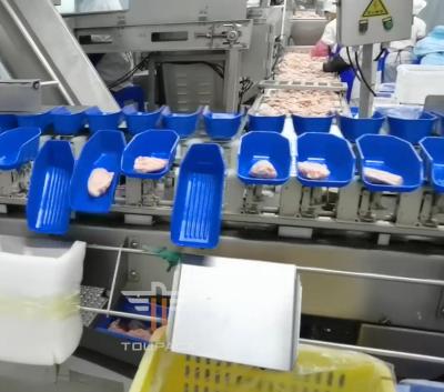 China Safety Circular Multi Head Weight Sorting Machine For Sea Food 300 Times / Min for sale