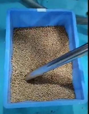 Chine Petite machine intelligente d'emballage alimentaire de casse-croûte de haricots pour le restaurant à vendre