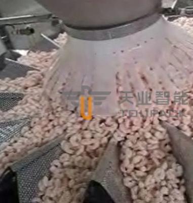 중국 SUS 304 냉동 식품 포장기 자동 무게를 다는 체계 세륨 증명서 판매용