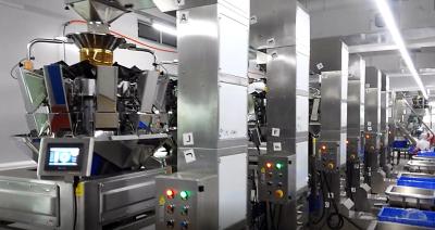 China A máquina de embalagem de aço inoxidável do pesador de Multihead para petiscos dos pulsos semeia 2.5L à venda