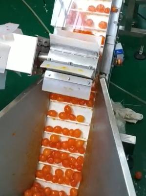 China Multi Weigher Vacuum Packaging Machine Yolk Sorting And Conveying Project for sale